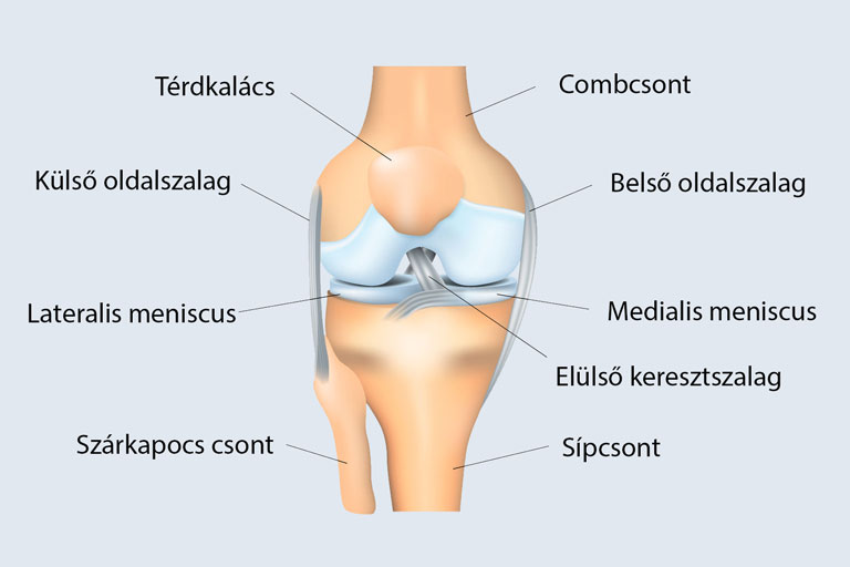 Meniszkusz-sérülés tünetei és kezelése - HáziPatika Meniszkus térdízület